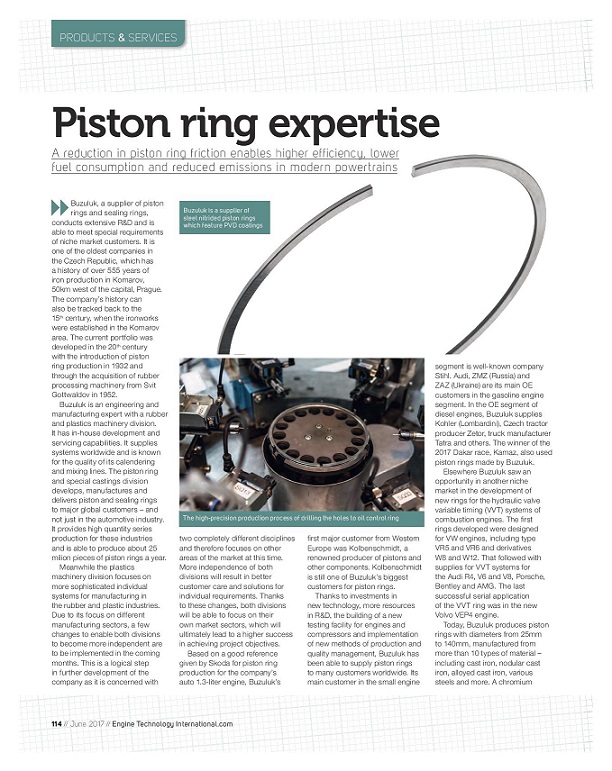 Piston rings from Buzuluk
